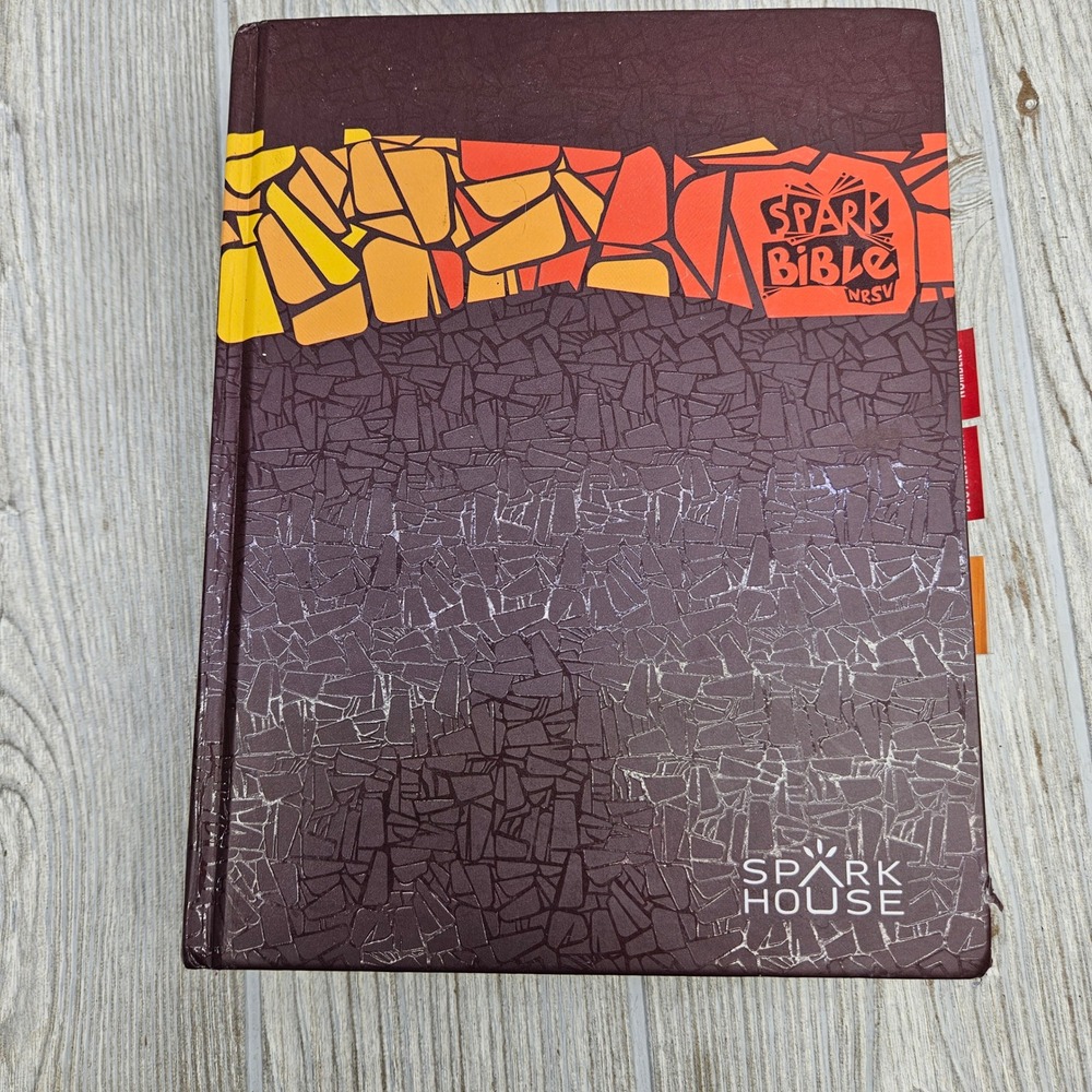 Spark Bible NRSV Hardcover Sparkhouse New Revised Standard Version Illustrated
